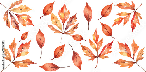 Autumn leaves vector illustration featuring vibrant fall foliage. Artistic watercolor drawing with bright  colorful leaves from maple  oak  and birch trees. Ideal for seasonal  festive  holiday themes