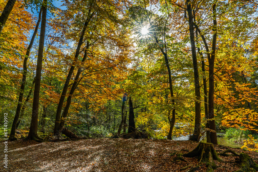 Herbststimmung an der Würm zwischen Mühltal und Gauting