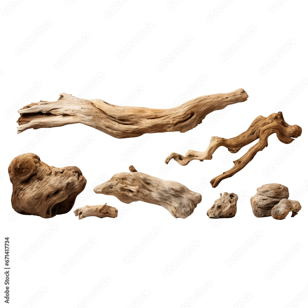 Dry branches textured pieces isolated on transparent background Dry branches textured pieces isolated on transparent background