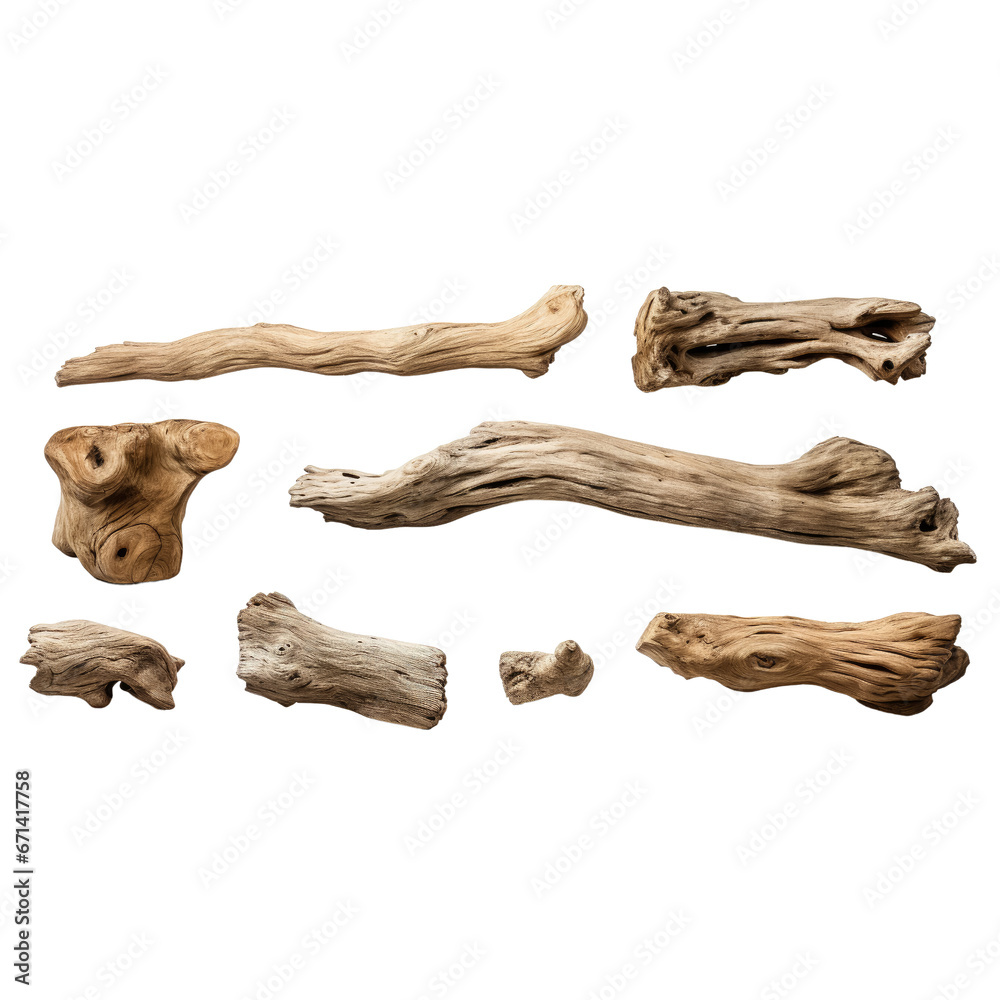 Dry branches textured pieces isolated on transparent background Dry branches textured pieces isolated on transparent background