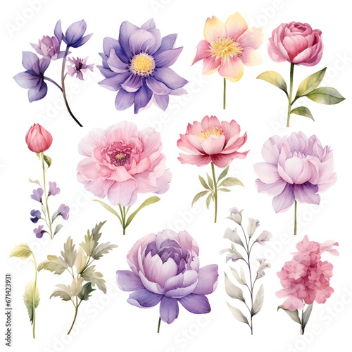 Set of flower in watercolor style elements.