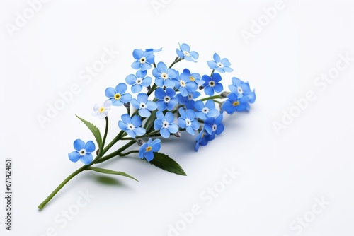 Photo of a charming forget me not on a solid white background. Generative AI photo