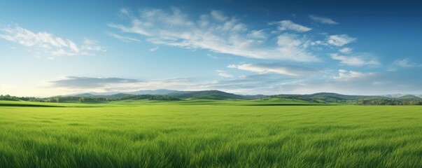 Beautiful natural scenic panorama green field of cut grass and blue sky with clouds on horizon. Perfect green lawn on sunny day