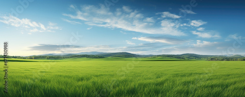 Fotografia Beautiful natural scenic panorama green field of cut grass and blue sky with clouds on horizon