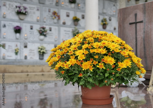 Vase of flowers above grave in cemetery photo