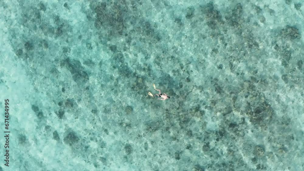 Aerial drone view of man snorkeling in the turquoise sea, Seychelles Aerial drone view of man snorkeling in the turquoise sea, Seychelles
