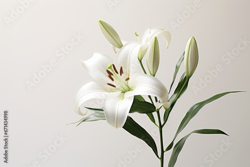 Photo of a pristine white lily with a solid white background. Generative AI photo