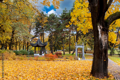 Autumn patterns in old public garden park