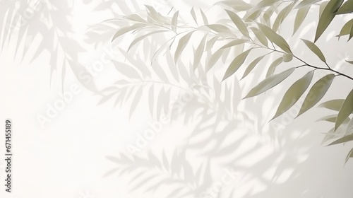 Blurred shadow from palm leaves on the white wall. Minimal abstract background for product presentation. Spring and summer. 