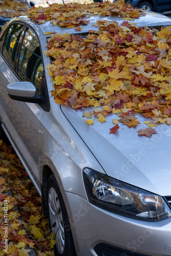 Metallic automobile windshield, roof and hood covered with dry colorful red, yellow, golden maple leaves. Foliage creating problem for driver road safety. Early autumn, september, october cold weather © DimaBerlin
