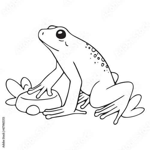 Outline golden poison dart frog sit on stone. Small venomous froggy, toad. Contour amphibian with toxic skin. Rainforest fauna. Coloring book. Lineart isolated vector illustration on white background