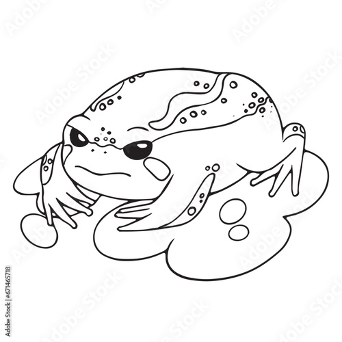Desert rain frog with sad muzzle. Cute toad, unhappy rainforest froggy sitting on swamp. Amphibian animal, wetland fauna, exotic nature. Lineart isolated vector illustration on white background