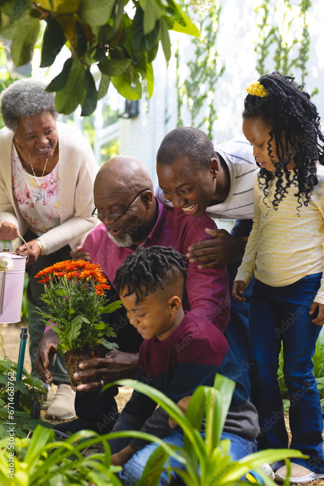 Happy african american family spending time working in sunny garden in backyard, copy space Happy african american family spending time working in sunny garden in backyard, copy space