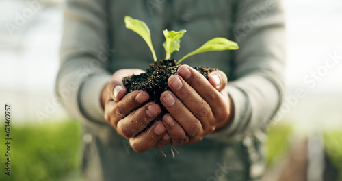 Farmer hands, plants and gardening soil in sustainability, eco friendly farming and vegetables in agriculture. Worker or Person palm with sprout, growth and fertilizer for agro project in greenhouse photo