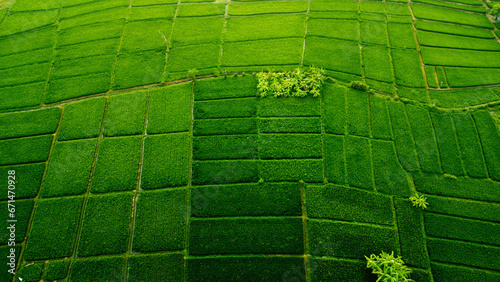 Aerial View Of A Green Field
