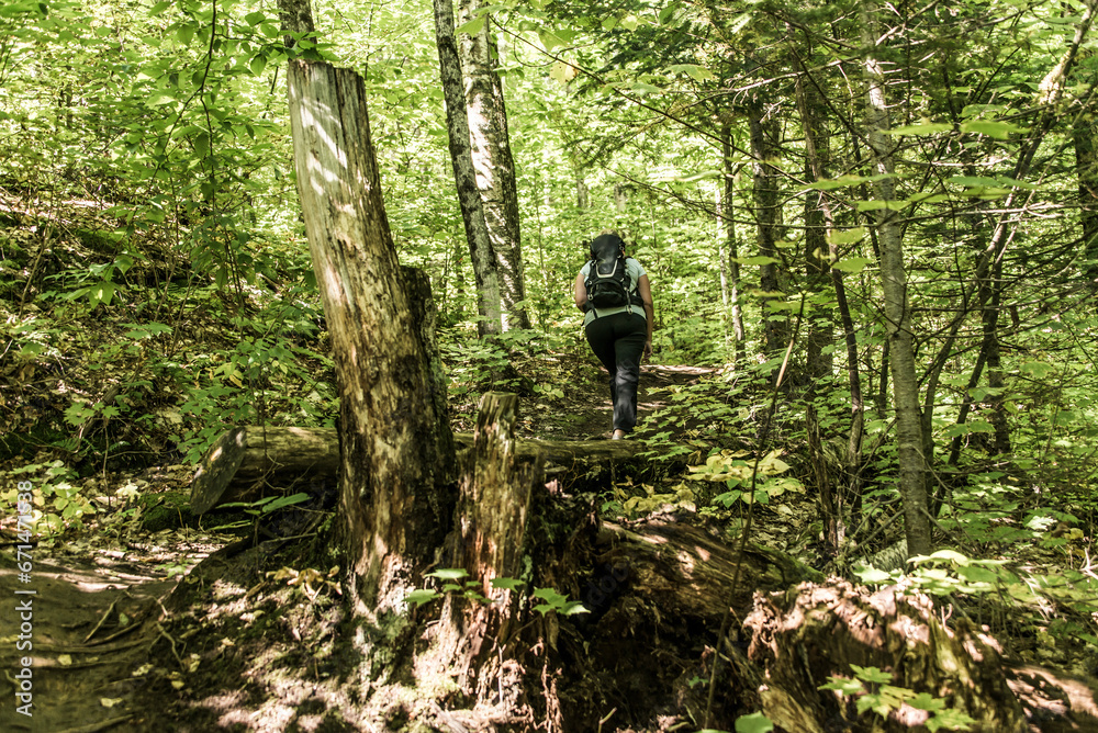 Obraz premium Girl hiking in the Forest near lake in La Mauricie National Park Quebec, Canada on a beautiful day