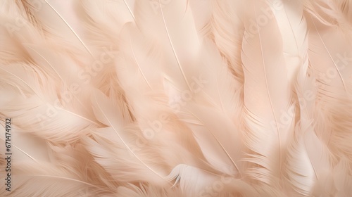 Feathers background with beige colors blend and aesthetic soft style. Fragile and sensitive elements from nature. Neutral pastel design. Beautiful wallpaper with natural texture. Purity and beauty.
