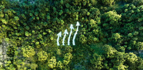 A lake in the shape of a rising graph in the middle of untouched nature symbolizing the growing interest in ecology and nature conservation. 3d rendering.