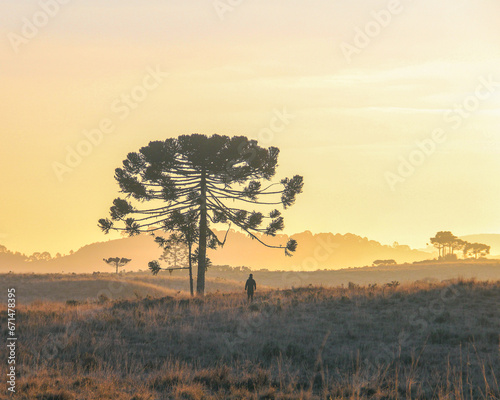 silhueta de homem e araucaria com montanhas ao fundo em nascer do sol em bom jardim da serra, santa catarina  photo