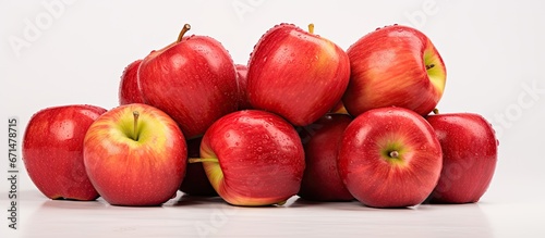 Peak ripe Macintosh Apples delicious and crispy photo