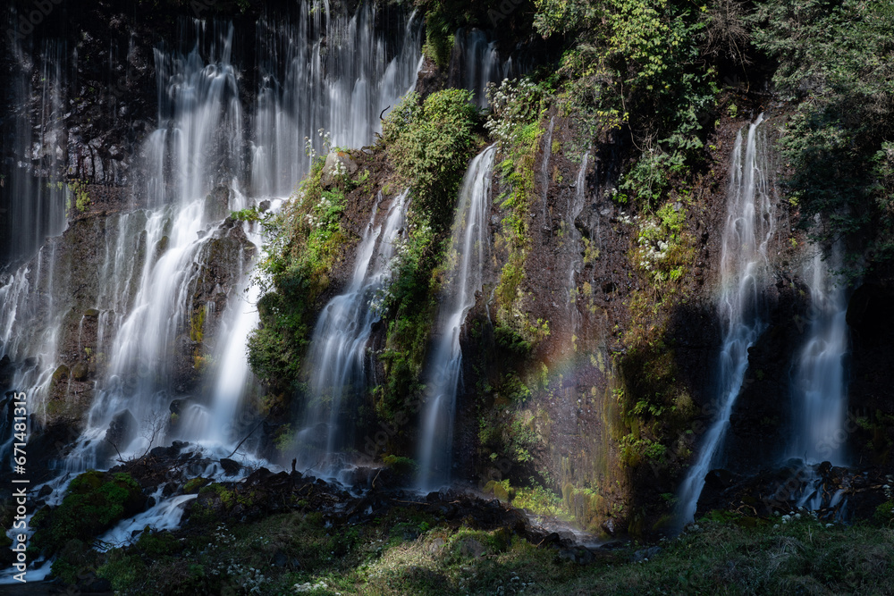 Fototapeta premium 白糸の滝 静岡県