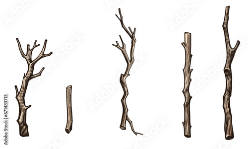 Set of tree branches without leaves, watercolor vector illustration
