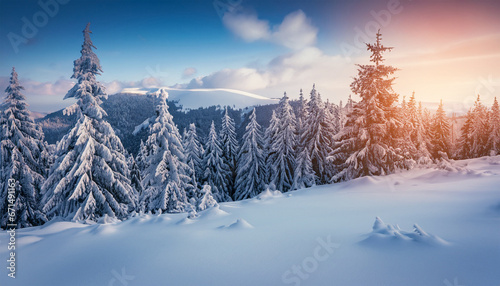 Stunning winter sunrise in the Carpathian Mountains with snow-draped fir trees. A picturesque outdoor view, symbolizing the celebration
