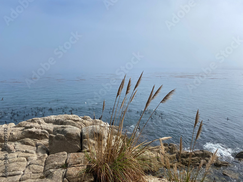 Rivage    Cannery Row  Californie  Etats-Unis