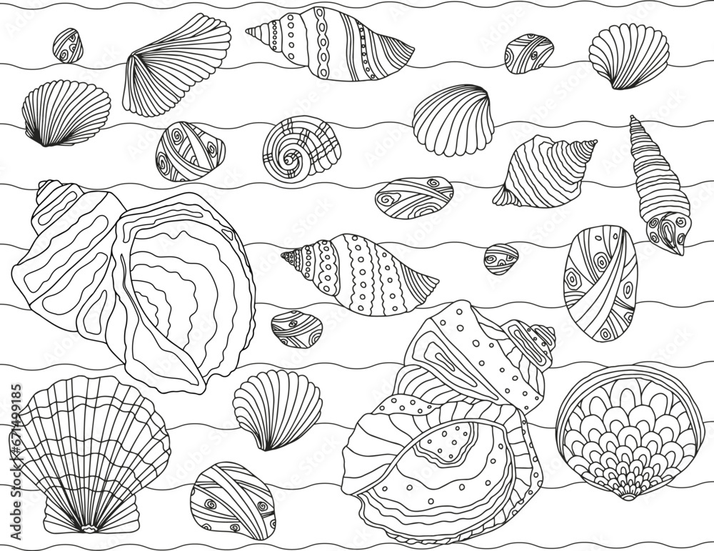 Coloring page for children and adults. Seashells of different shapes and floral elements.