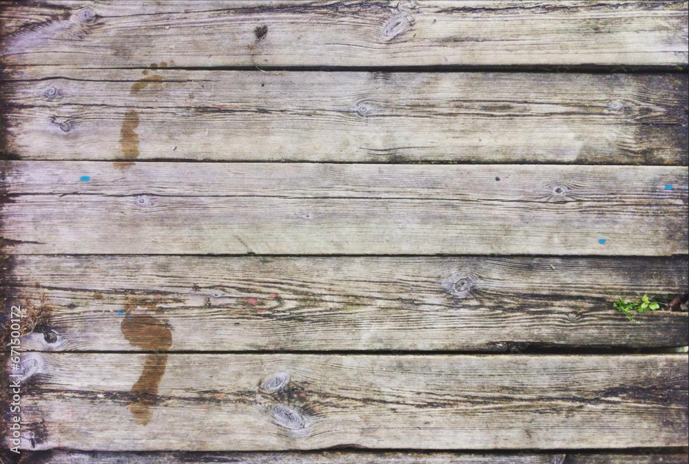 Fototapeta premium Trace