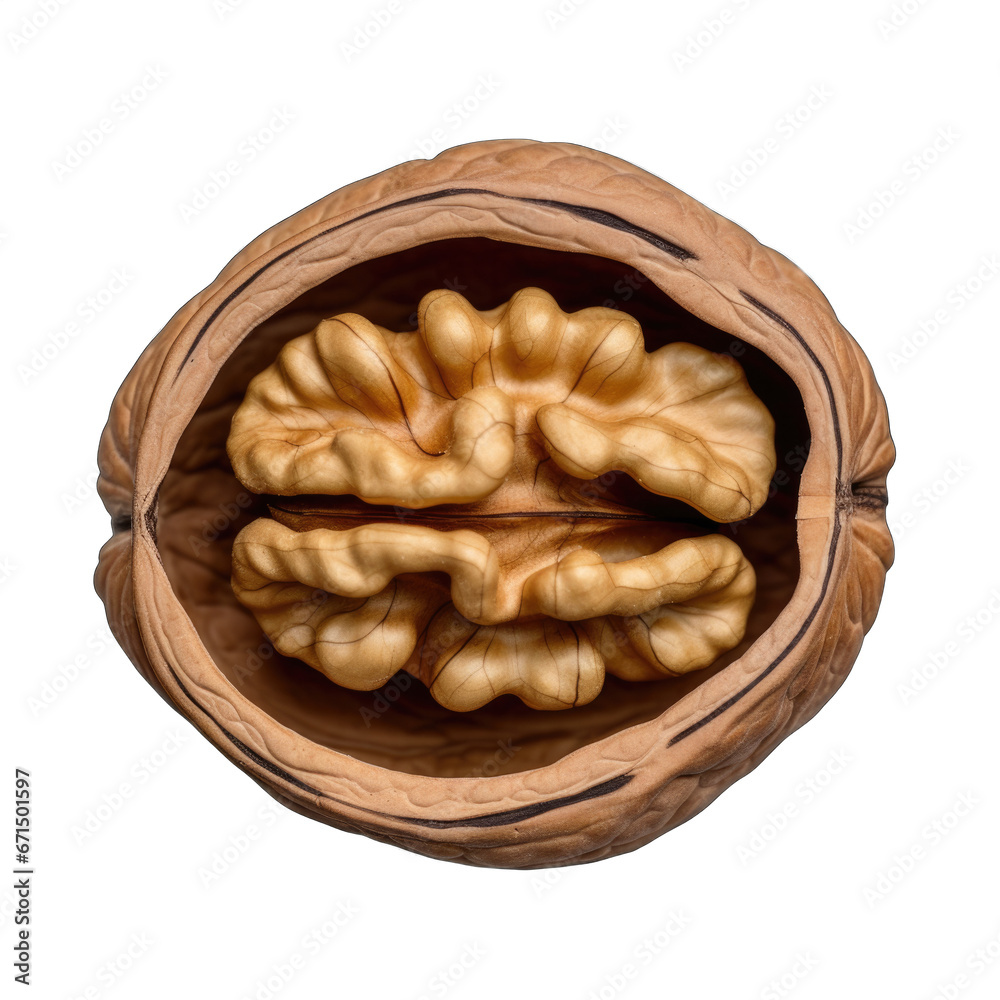 Walnut half isolated on transparent background Walnut half isolated on transparent background