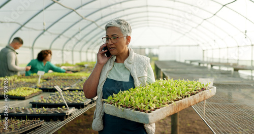 Manager, phone call and greenhouse plants, farming or agriculture communication, growth and agro business management. Senior woman, farmer or supplier talking on mobile with sprout tray and gardening