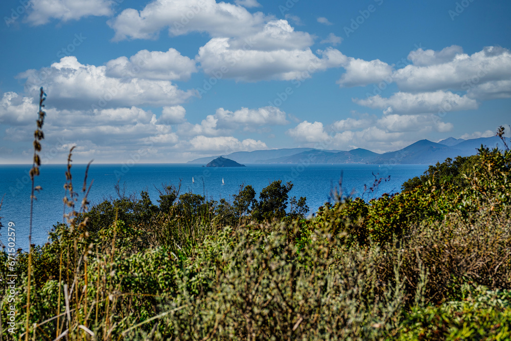 Obraz premium Marine panorama from Cala Moresca towards the island of Elba Piombino Livorno Tuscany Italy