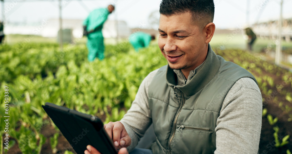 Tablet, innovation and a man in a farm greenhouse for growth, sustainability or plants agriculture. Technology, research and agribusiness with a farmer tracking crops in season for eco science - obrazy, fototapety, plakaty 