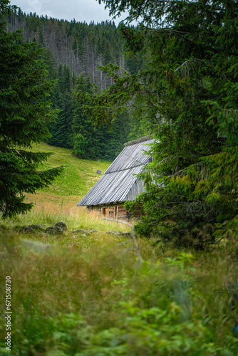 En route to Rusinowa Glade, Gęsia Szyja, and Hala Gąsienicowa in Tatra National Park, the trail reveals the untamed beauty of wilderness. Dense forests, diverse wildlife, and the unspoiled serenity