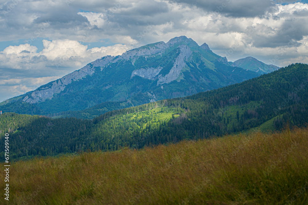 En route to Rusinowa Glade, Gęsia Szyja, and Hala Gąsienicowa in Tatra National Park, the trail reveals the untamed beauty of wilderness. Dense forests, diverse wildlife, and the unspoiled serenity