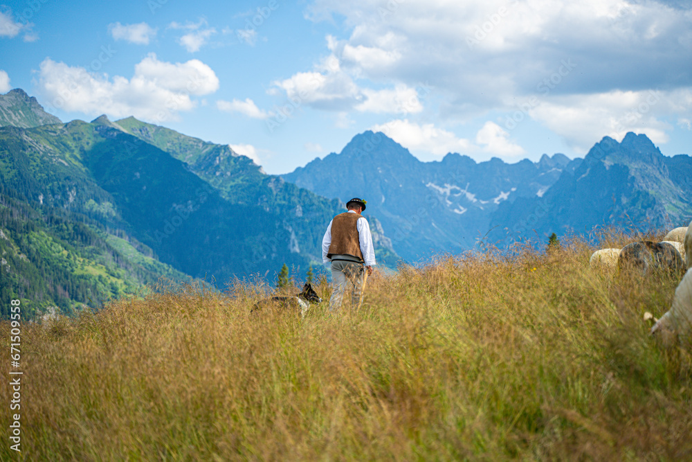 Rusinowa Glade, a serene spot in Tatra National Park, comes alive in summer. A local highlander herds sheep amidst the stunning vistas, offering an authentic glimpse into the region's traditions.