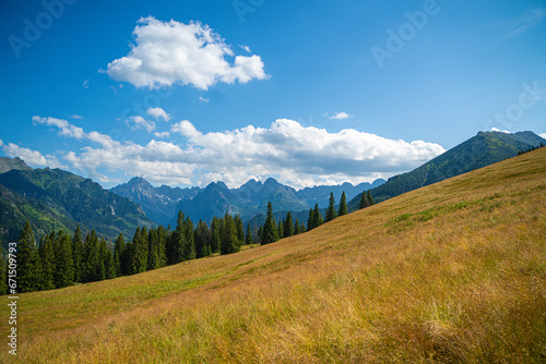 En route to Rusinowa Glade, Gęsia Szyja, and Hala Gąsienicowa in Tatra National Park, the trail reveals the untamed beauty of wilderness. Dense forests, diverse wildlife, and the unspoiled serenity © Tomasz