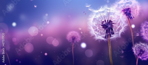 Manipulated photo illustration of dandelion flowers in purple grass adorned with fairy dust