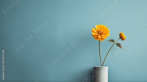 narcissus on a blue background. yellow flowers are in the pot