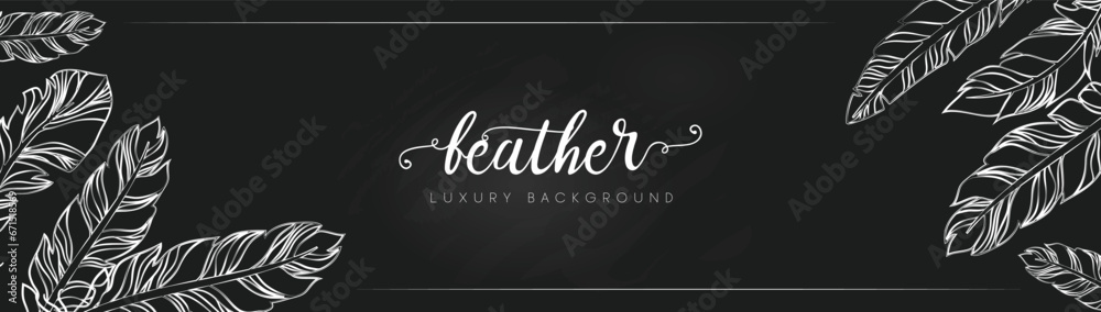 Vector Background with feathers. Luxurious feather background design.
