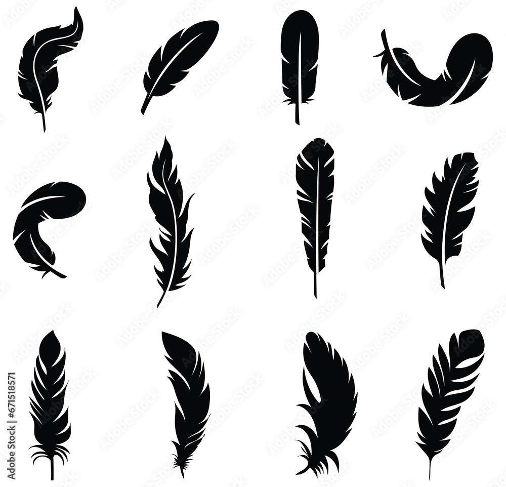 Obraz premium vector design of isolated feathers silhouette