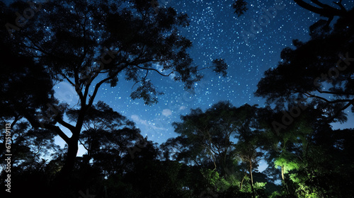 trees at night HD 8K wallpaper Stock Photographic Image 