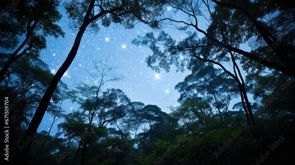 Fototapeta premium sunset in the forest HD 8K wallpaper Stock Photographic Image 