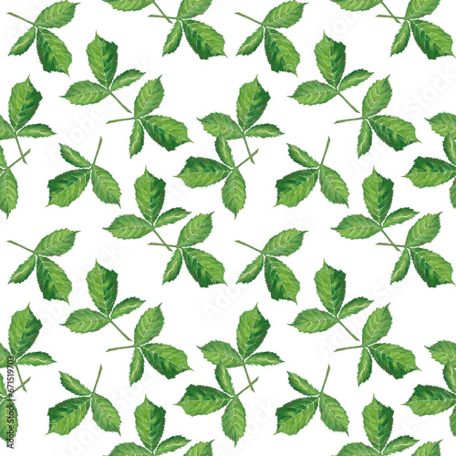 Seamless pattern of green blackberry or raspberry leaves isolated on a white background. Watercolor illustration. Template for packaging design, postcards, invitations, wallpaper, printing, textiles