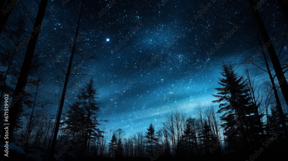 forest in the night HD 8K wallpaper Stock Photographic Image 