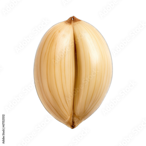 Pine nut kernel isolated on transparent background © Olezhan