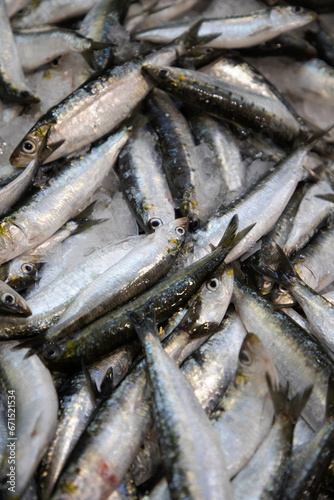 fish stall at market Portugal. Fresh chilled variety fish