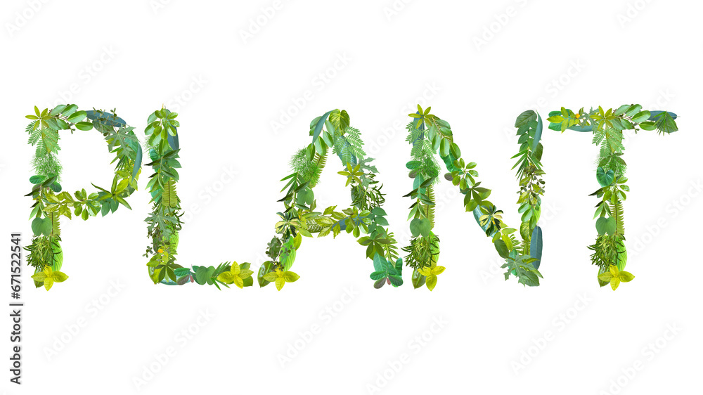 word of PLANT made from various kinds of leaves isolated on transparent background, suitable for template go green concept, PNG word of PLANT made from various kinds of leaves isolated on transparent background, suitable for template go green concept, PNG