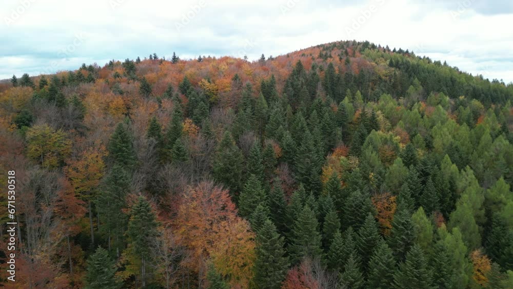 View of autumn forest on the Kamiennik hill in Beskid Makowski, Lesser Poland, Poland